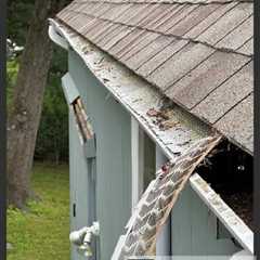 Gutter cleanout contractor Hagerstown, MD