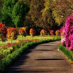 Creating A Lush Portland Oasis: The Role Of Professional Landscapers In Tree Care