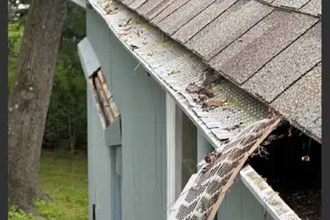 Gutter cleanout contractor Hagerstown, MD
