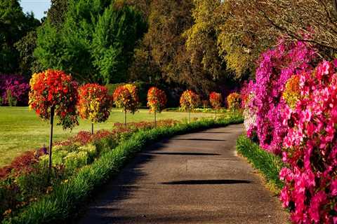 Creating A Lush Portland Oasis: The Role Of Professional Landscapers In Tree Care