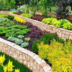 Low-Maintenance Landscaping Tips for Busy Homeowners