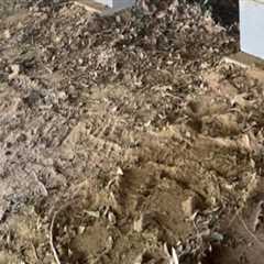Affordable Roof Repair In Austin, Texas: The Next Step After Pier And Beam Foundation Fixes