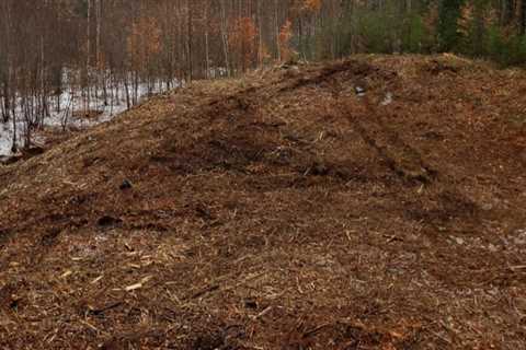 Forestry Mulching In Portland, OR: Why Professional Tree Service Matters