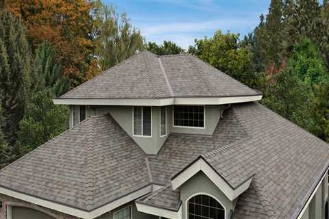 Groundskeeping In Austin: What A Roofing Company Can Do For Your Yard