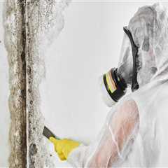 The Final Step To A Cleaner Home: House Cleaning Service In Maryland After Mold Inspection