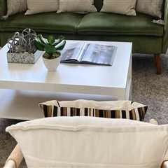 Boost Home Staging Success With Professional Pest Control Service In Johns Island