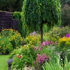 How Landscaping Services Can Improve Home Energy Efficiency