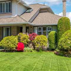 The Role of Residential Landscaping in Reducing Home Energy Costs