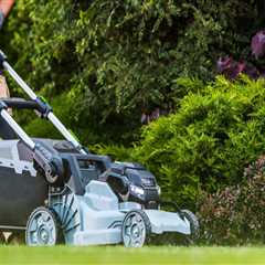 Why Lawn Care Contractors and Plumbers Should Work Together on Remodel Projects