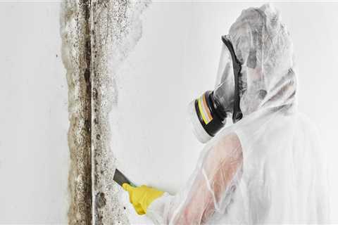 The Final Step To A Cleaner Home: House Cleaning Service In Maryland After Mold Inspection