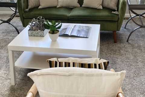 Boost Home Staging Success With Professional Pest Control Service In Johns Island