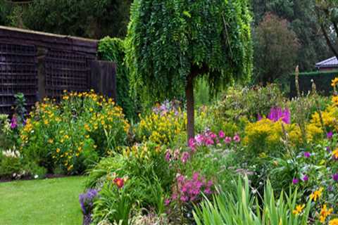 How Landscaping Services Can Improve Home Energy Efficiency