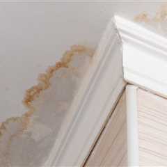 How Sunol Plumbers Help Prevent Water Damage And The Need For Mold Inspection