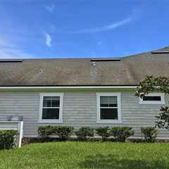 How to Remove & Prevent Roof Algae