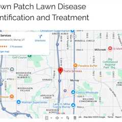 Brown Patch Lawn Disease Identification and Treatment