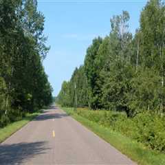 The Benefits of Asphalt Paving: Durability, Cost, and Sustainability