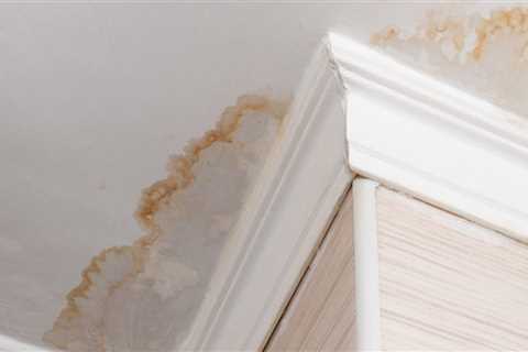 How Sunol Plumbers Help Prevent Water Damage And The Need For Mold Inspection