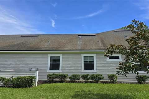 How to Remove & Prevent Roof Algae