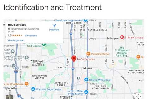 Brown Patch Lawn Disease Identification and Treatment