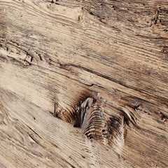 The Patina of Time: How Aging Hardwood Tells the Story of a Home