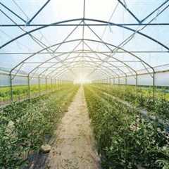 Going Green with Eco-Friendly Farm Supplies – What You Need to Know