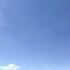 Wood Fencing Midland, TX · Monday, Oct 27 📸