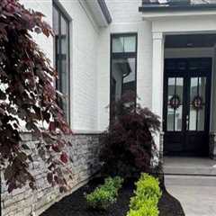 How Soft Washing Restores the Visual Contrast That Makes Landscaping Pop