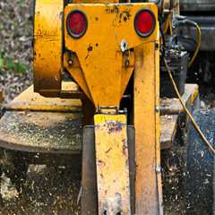 The Environmental Benefits of Stump Grinding