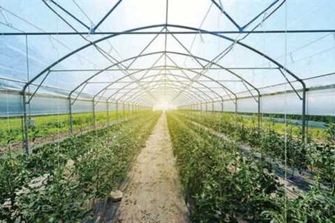 Going Green with Eco-Friendly Farm Supplies – What You Need to Know