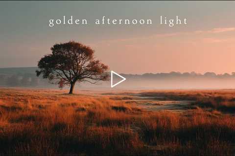 Golden afternoon light | Piano Playlist