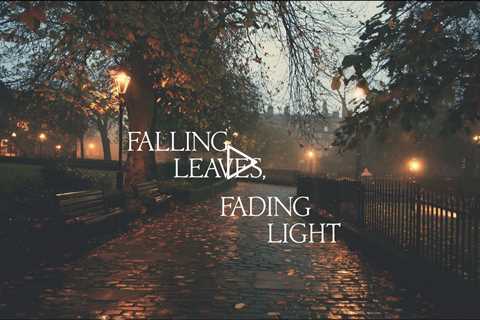 Falling leaves, fading light | Piano Playlist