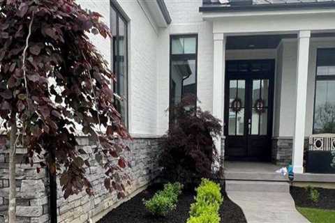 How Soft Washing Restores the Visual Contrast That Makes Landscaping Pop