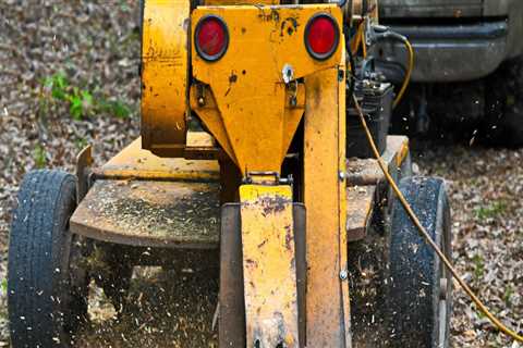 The Environmental Benefits of Stump Grinding