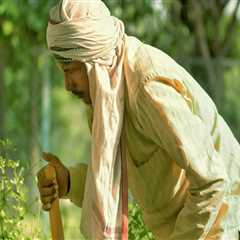 How Professional Bush Trimming Helps Reduce Rodent Problems in Northern Virginia