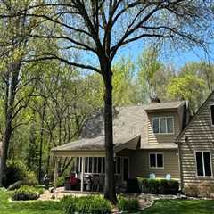 Keep Your Warminster Trees Healthy with Rapid Tree Care