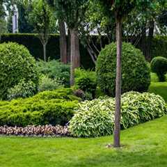 How Trees Contribute to Sustainable Landscaping