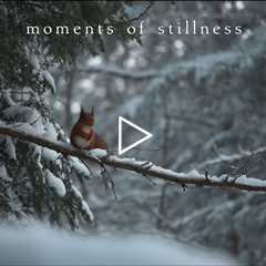 Moments of stillness | Piano Playlist