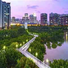 What Landscape Architects Notice First After a Major Move