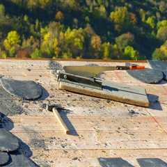 Enhance Curb Appeal with Landscaping & Roof Maintenance