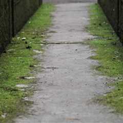 Enhance Your Home's Appeal with Restoration and Staging