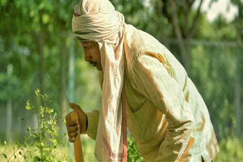 How Professional Bush Trimming Helps Reduce Rodent Problems in Northern Virginia