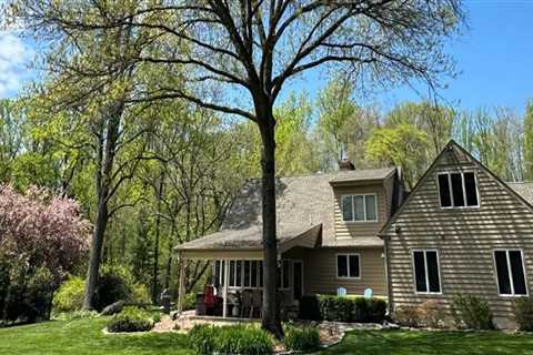 Keep Your Warminster Trees Healthy with Rapid Tree Care