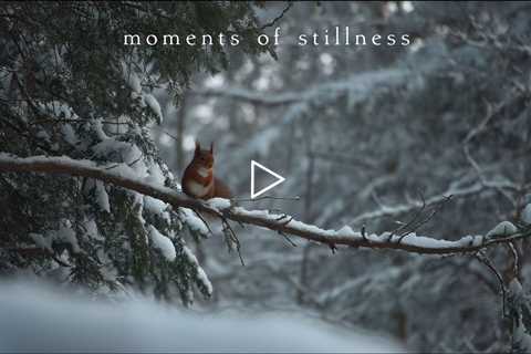 Moments of stillness | Piano Playlist