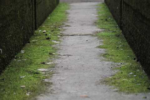 Enhance Your Home's Appeal with Restoration and Staging