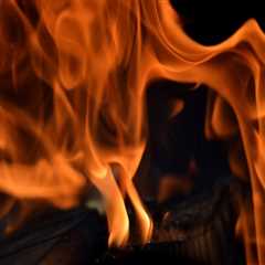 Restoring Safety: Fire Cleanup & Pest Control in Tri-Cities