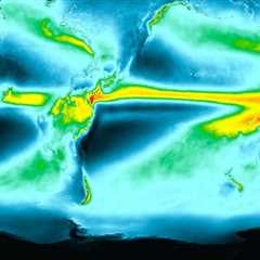 The Seasonal Timing That Determines Landscape Longevity