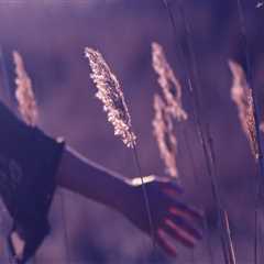 Experienced Local Painting Contractors in Dee Why