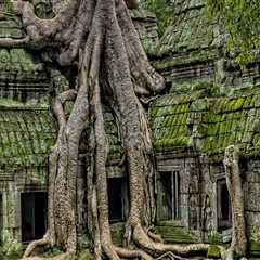 Tips for Hiring Paver Sealing Jacksonville