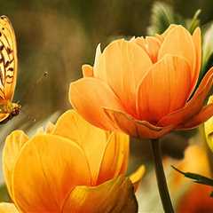 Dee Why Painters: Trusted House Painting