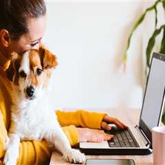 Paver Sealing Jacksonville FL: Reliable Paver Sealing Services